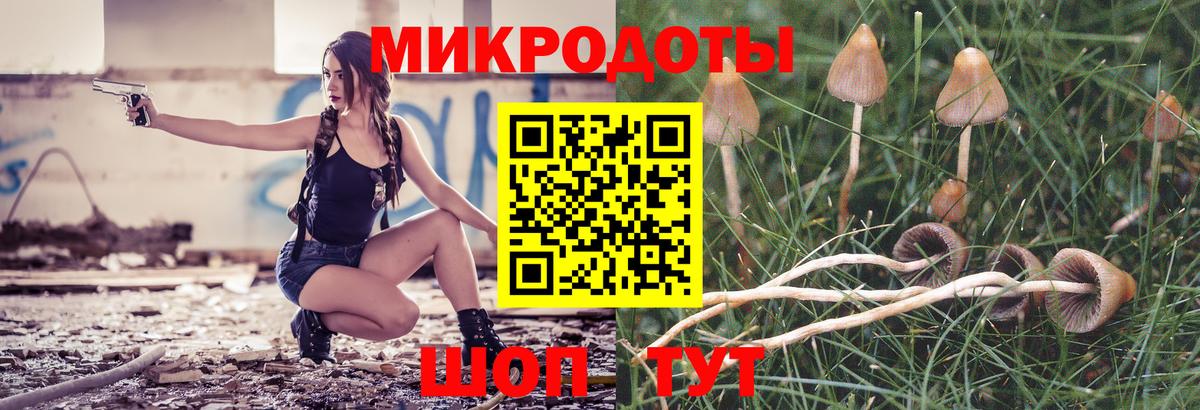 Галлюциногенные грибы мицелий  Галлюциногенные грибы Psilocybine cubensis  Вход с VPN  Казань 
